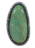Genuine Sterling Silver Southwestern Turquoise Jewelry Ring Size 4-1/2 QX85553