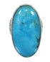 Sterling Silver And Turquoise Ring Size 4-3/4 AX84146