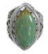 Turquoise And Sterling Silver Southwest Jewelry Ring Size 6-1/4 RX92972