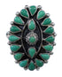 Genuine Sterling Silver Turquoise Needlepoint Ring Size 7-3/4 FX92811