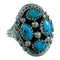 Native American Sterling Silver And Turquoise Jewelry Ring