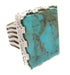 Southwestern Turquoise Sterling Silver Ring Size 5-1/2 YS60485