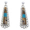 Tiger Eye Turquoise Multicolor Silver Jewelry Post Earrings AW69801