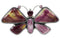 Purple Oyster Shell Large Statement Butterfly Ring Size 7 PS72850
