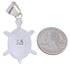 Native American Village Design Turtle Multicolor Pendant MW77641