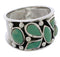 Sterling Silver Turquoise Southwestern Jewelry Ring Size 6 TX28329