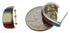 Southwest Jewelry Multicolor Sterling Silver Hoop Earrings EX24370