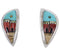 Native American Village Design Multicolor Southwest Earrings EX31235