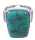 Turquoise High Quality Southwest Silver Ring Size 7-3/4 EX40418