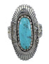 Sterling Silver And Turquoise Southwestern Jewelry Ring Size 6-3/4 VX56947